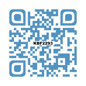 KBF2293 SCREAMIN' EAGLE